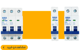 مینیاتوری بروکس