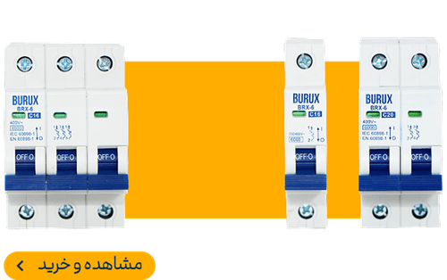 مینیاتوری بروکس